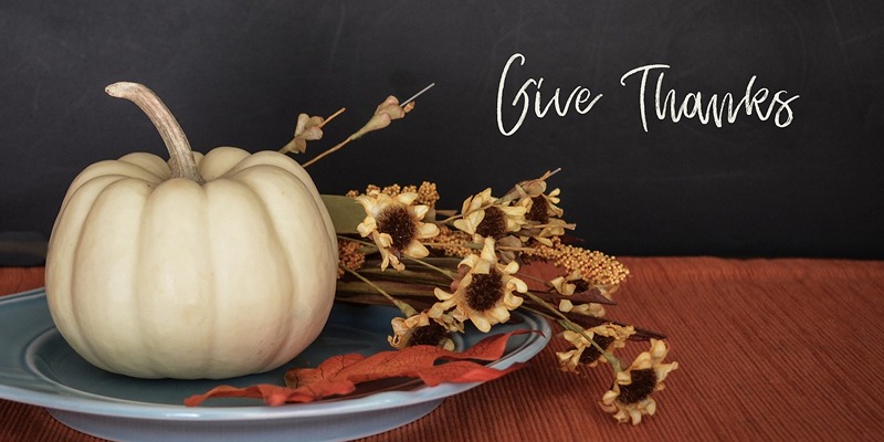 pumpkin give thanks